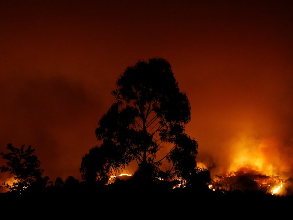 Снимка: Reuters1234567Горски пожар в Португалия е отнел живота на най-малко