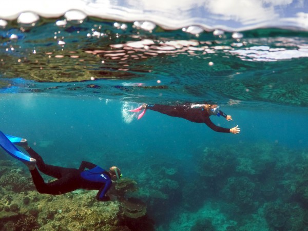 Големият бариерен риф в Австралия се оценява на 56 млрд.