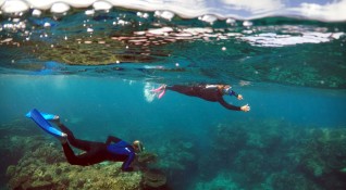 Големият бариерен риф в Австралия се оценява на 56 млрд