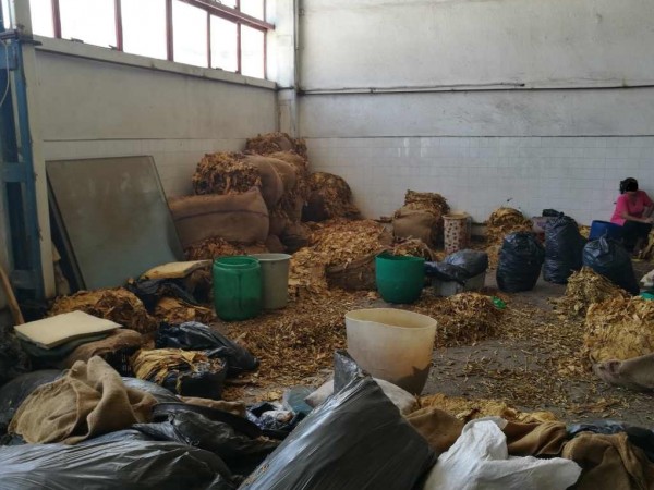 Митнически служители откриха нелегална фабрика за тютюн в Пловдив. Проверката