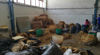 Митнически служители откриха нелегална фабрика за тютюн в Пловдив Проверката