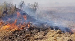Снимка Община Бургас12345Пожар е горял в района на бургаския квартал