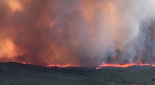 Огромни горски пожари наложиха евакуацията на около 10 000 души