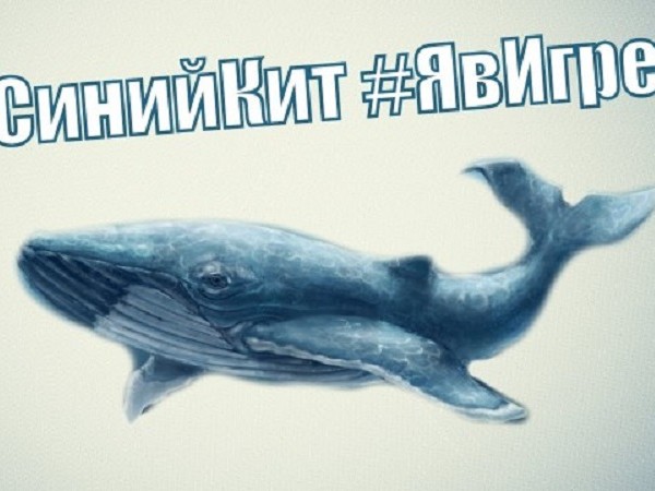 Популярната онлайн игра "Син кит" причини смъртта на 16-годишно българче,