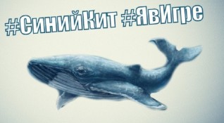 Популярната онлайн игра Син кит причини смъртта на 16 годишно българче