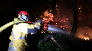 Гигантски горски пожари в западната канадска провинция Британска Колумбия наложиха