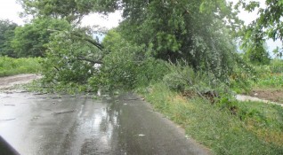 Заради силна буря и нападали дървета и клони пътят Варна София