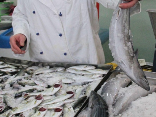 32% от рибата и морските деликатеси, които предлагат търговските вериги,