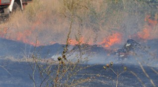 Пожар пламна във вилната зона в бургаското село Изворище Горят