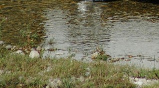 21 годишен мъж се удави във водоем в добричкото село Сенокос