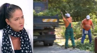 Има ли виновни за падналия върху жена клон в Борисовата