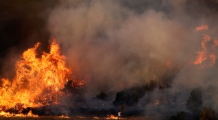 Половината от гръцкия остров Китира изгоря Огънят достигна до къщите