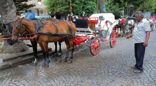 България да забрани впрягането на коне във файтони по морето
