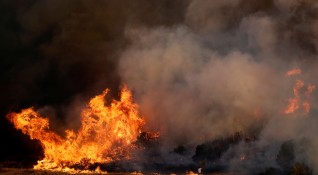 Мащабни пожари обхванаха Гърция като най силно засегнат е остров Закинтос