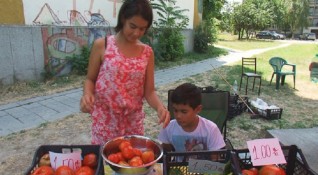 Брат и сестра от Пловдив отглеждат зеленчуци на село и