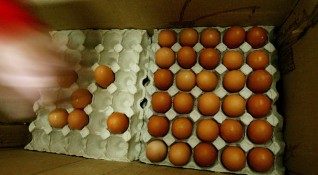 Отровните яйца от Холандия съдържащи финпропил има риск да се