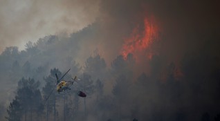 Горските пожари в Португалия са опустошили 141 000 хектара растителност