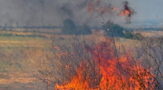Пожар е пламнал вчера в стърнище край село Смоляновци и