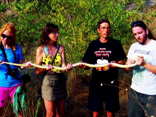 Змия с рекордна дължина бе открита край Бургас. Екип от