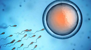 Здравна наредба разпорежда да бъдат унищожени здрави ембриони като по