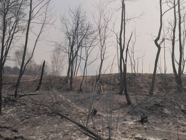 30-годишният пастир Костадин Митев е запалил пожара в Кресненското дефиле