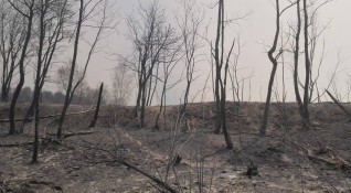 30 годишният пастир Костадин Митев е запалил пожара в Кресненското дефиле