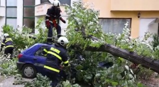 Двама души пострадаха при днешната буря във Враца Жена е