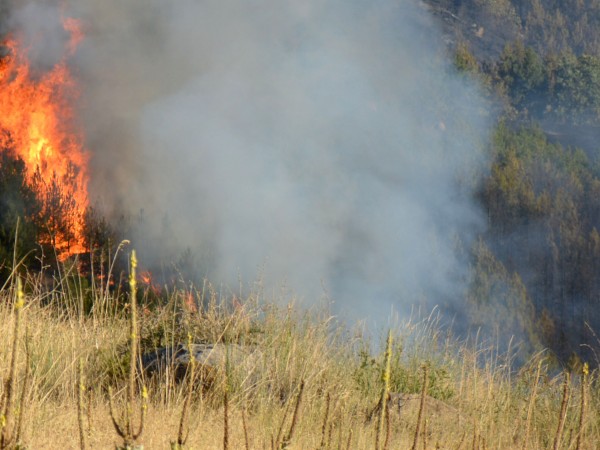 Пожар гори зад ТЕЦ-Север в Пловдив. Сигналът за пожара е
