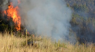 Пожар гори зад ТЕЦ Север в Пловдив Сигналът за пожара е