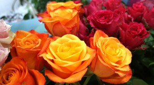 Еквадорската роза измести българската Оказва се че месечно в софийския