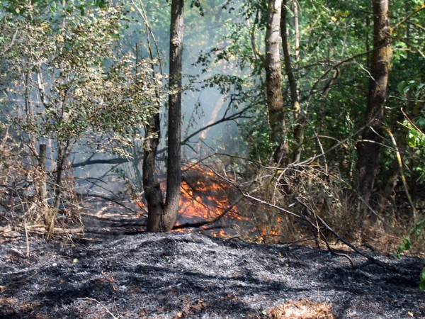 Локализиран е пожар в труднодостъпна местност в Пирин, съобщава пресцентърът
