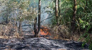 Локализиран е пожар в труднодостъпна местност в Пирин съобщава пресцентърът