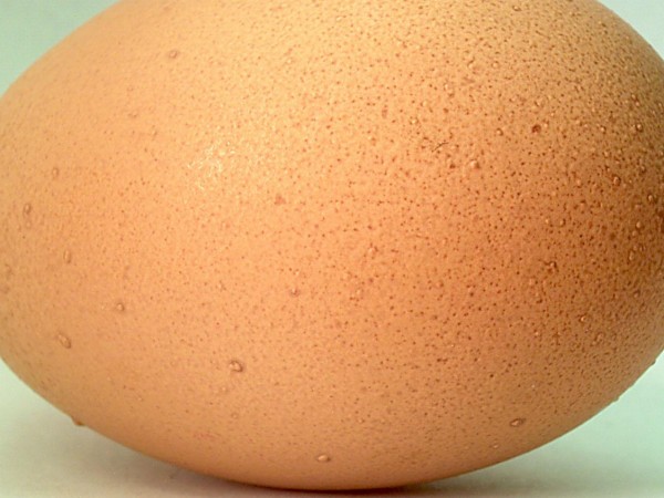 Птицефермите, в чиито яйца беше открит фипронил, cа категорични, че
