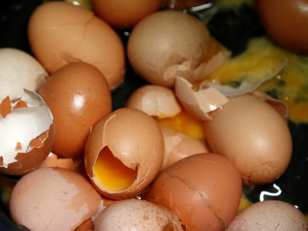 Милион и половина достига вече бройката на яйцата с фипронил