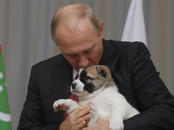 Руският президент Владимир Путин получи неочакван и пухкав подарък от