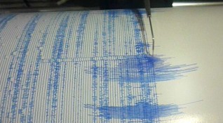 Земетресение с магнитуд 4 5 по скалата на Рихтер е регистрирано