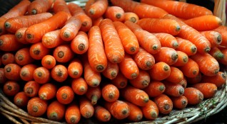 Всички знаем че морковите са полезни за очите и зрението