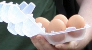 Контролът за наличието на фипронил в яйцата и продуктите с