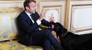 Кучето на френския президент Еманюел Макрон прекъсна служебно заседание с
