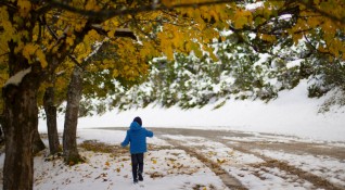 На много места в страната ще падне сняг в края