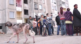 Щом България не усвоява парите за ромите нека ги вземе