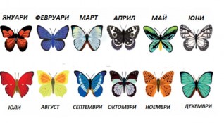 Пеперудите са едни от най красивите създания на природата Те символизират