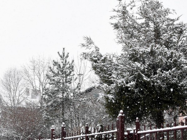 Сняг заваля днес в Пампорово, информират от Планинската спасителна служба.